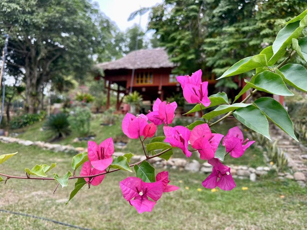 Pài Bjooc homestay Tuyen Quang Exterior foto